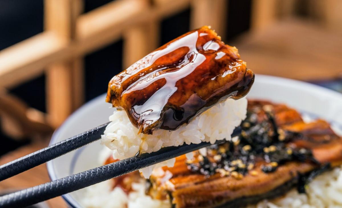 Sushi of the future: The first ever lab-grown eel is a success