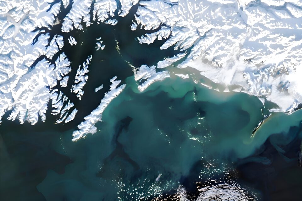 Sediment swirling in the Gulf of Alaska