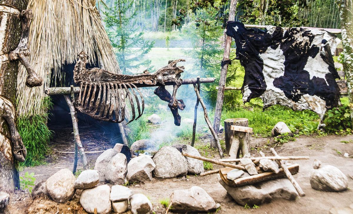 Early humans were much better with tools than we thought, choosing rocks with care