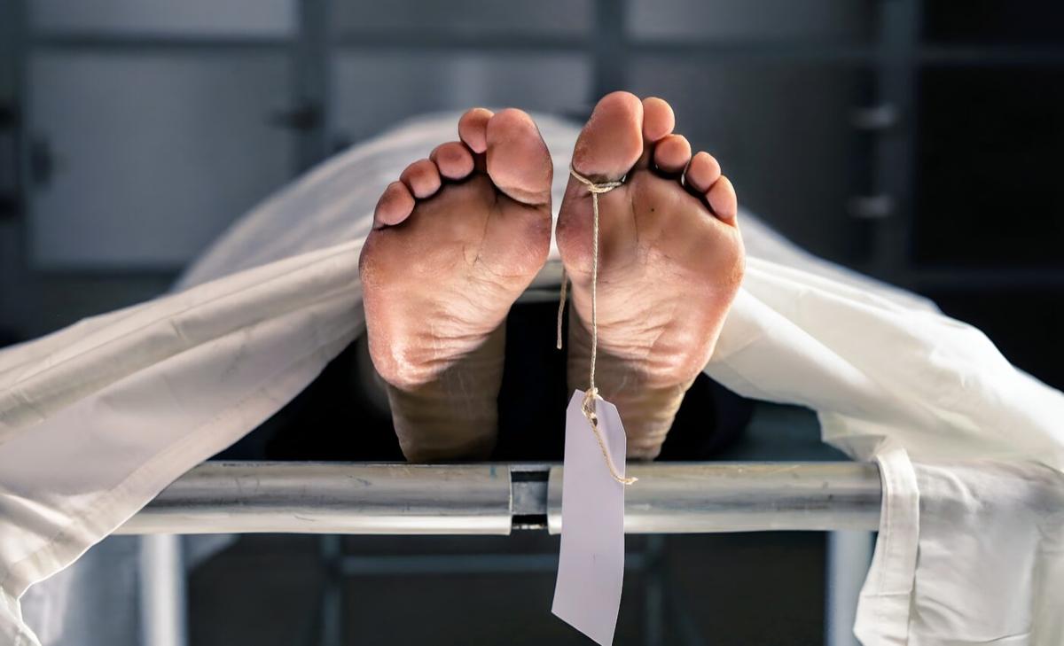 Microbes involved in human decomposition may help solve crimes