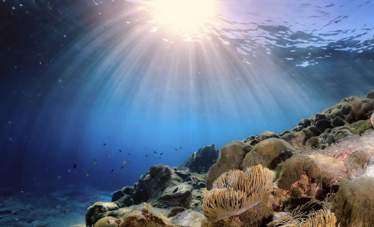 'History book' of the ocean reveals future impacts of warming 