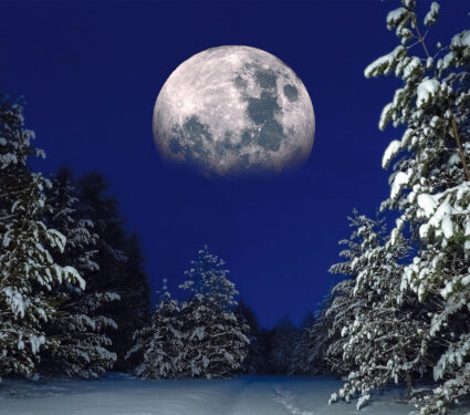 2024/02/micromoon_full-snow-moon_forest_1m.jpg