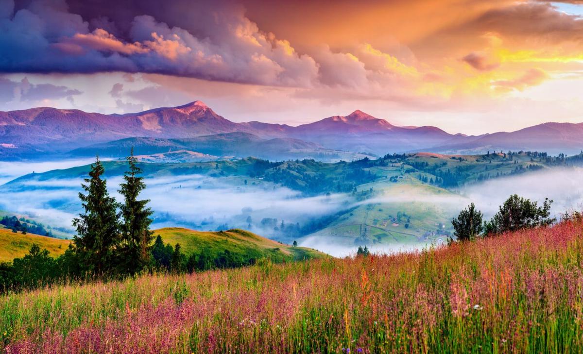 Earth's great balancing act: Nature is adapting to human influence 
