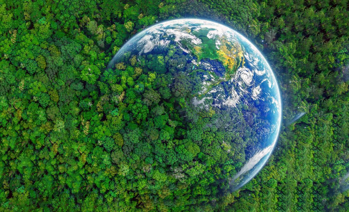 Placing a monetary value on nature conservation and ecosystems