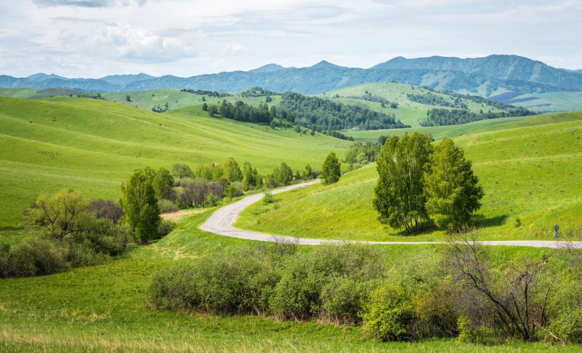 The surprising role of low-relief mountain ranges in climate regulation