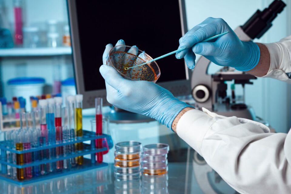 New method for bacteria classification includes all of the strains