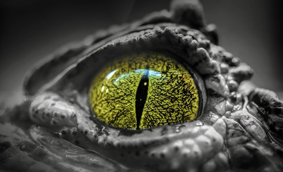 Experts identify a new "aetosaur" that lived 200 million years ago