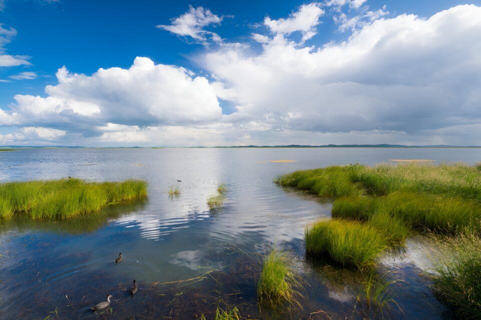 Tidal wetlands have enormous climate change mitigation potential