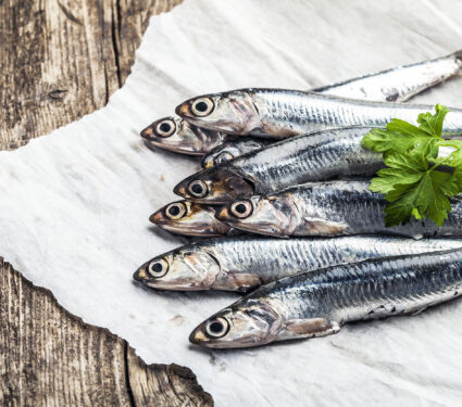 Anchovies