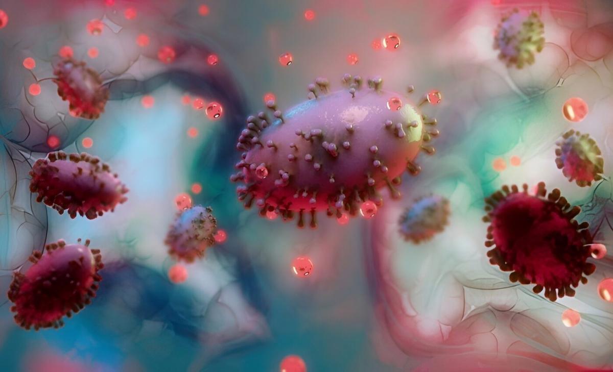 Humans transmit more viruses to animals than we catch from them