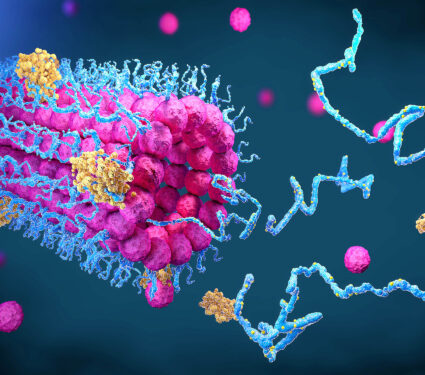 Protein,Enzymes,Fold,Into,Their,Structure,To,Fulfill,Their,Function