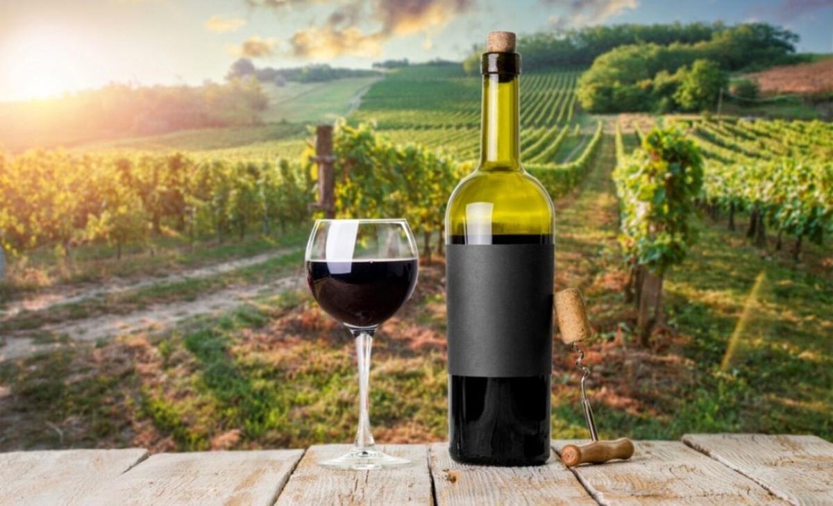 Wine production in a warming world: Winners and losers