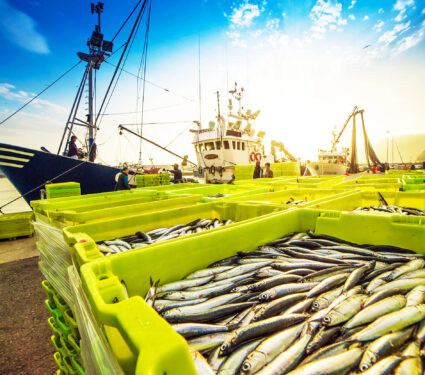 Fishing,Boat,Unloading,Its,Catch,Of,The,Day