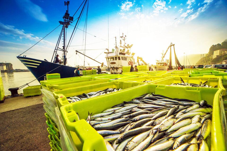 What exactly is 'destructive fishing'? Time for a clear definition