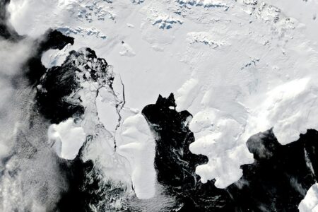 2024/04/Wilkins-Ice-Shelf.jpg