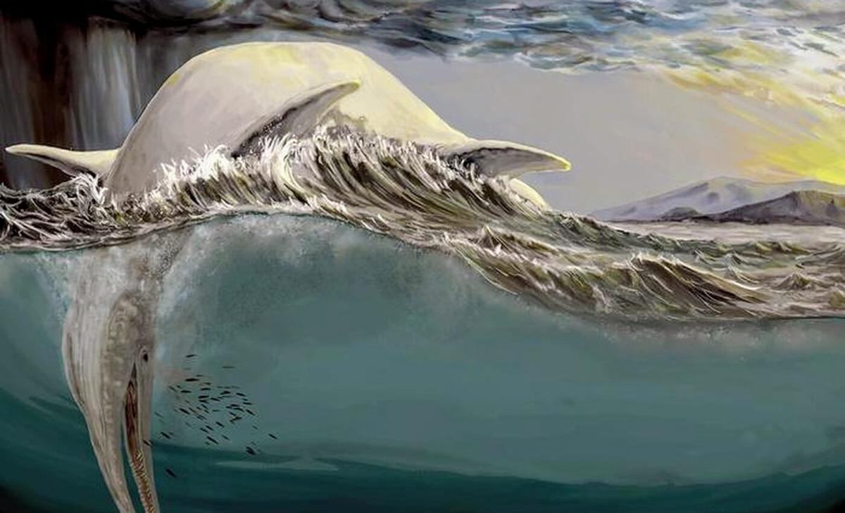 Mysterious 150-year-old bones identified as ichthyosaur jaws