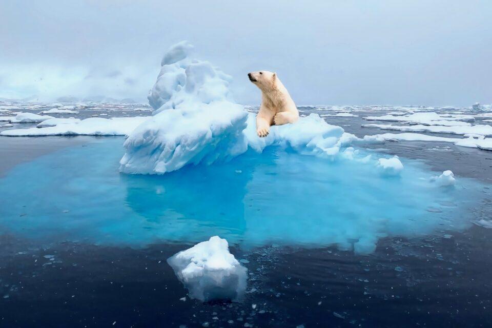Biden policy aims to block Arctic oil drilling for conservation