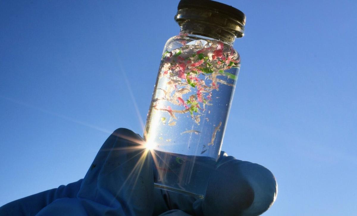 Microplastics migrate from the gut to other organs