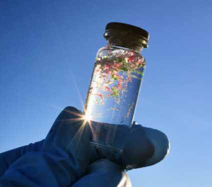 2024/04/Microplastics-organs.jpg