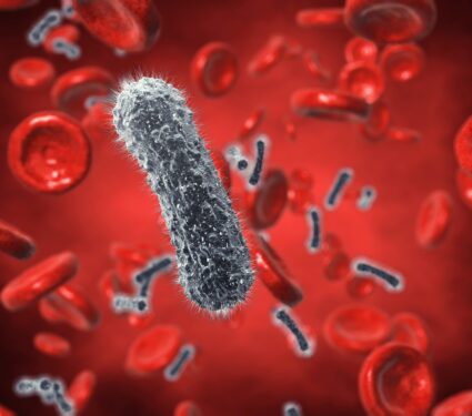 2024/04/Vampire-bacteria.jpg