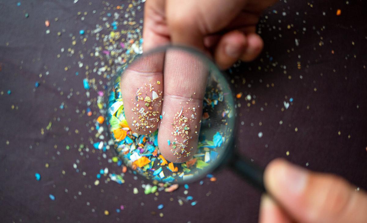 Microplastics carry toxic chemicals that are easily absorbed by skin