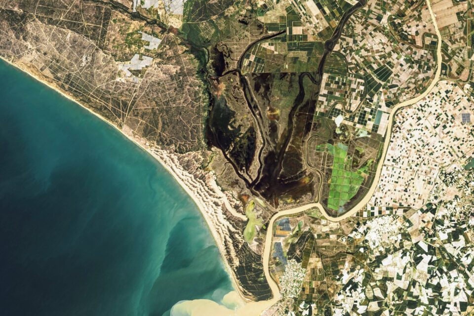 Doñana National Park gets temporary relief from drought
