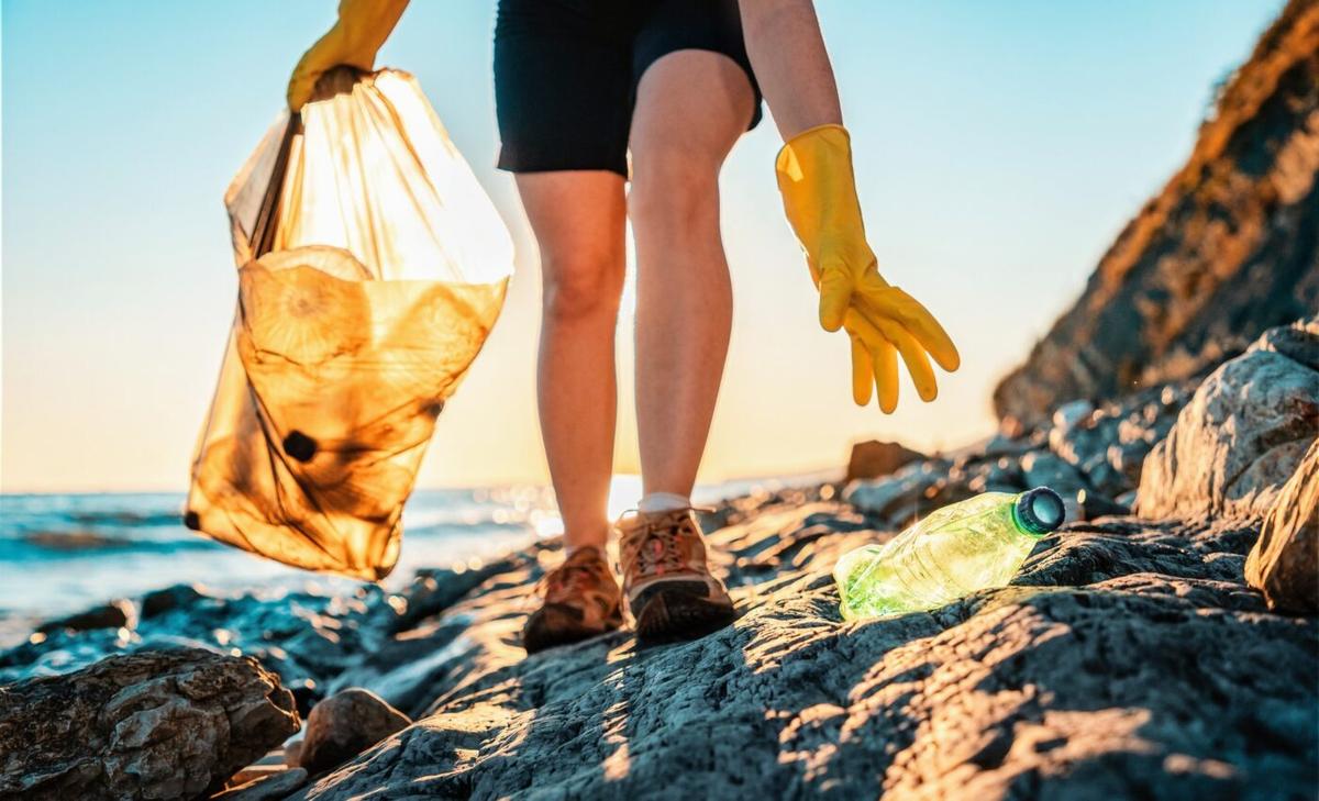 Biodegradable ‘living plastic’ contains bacterial spores that break it down