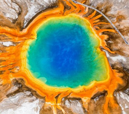 2024/05/Yellowstone-giant-virus2.jpg