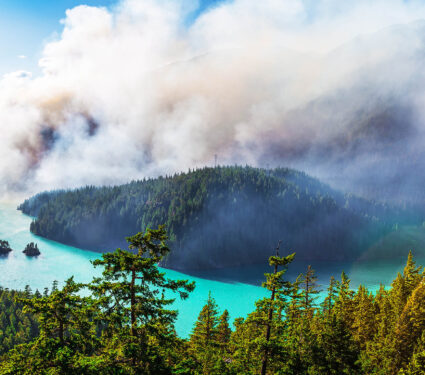 Wildfire,Near,Diablo,Lake,In,North,Cascades.,North,Cascades,National