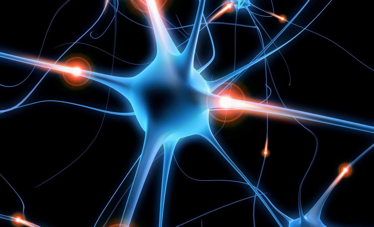 Dopamine helps us understand ourselves and others
