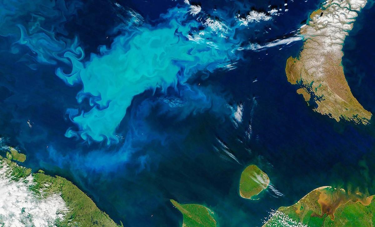Arctic Ocean is turning green thanks to climate change