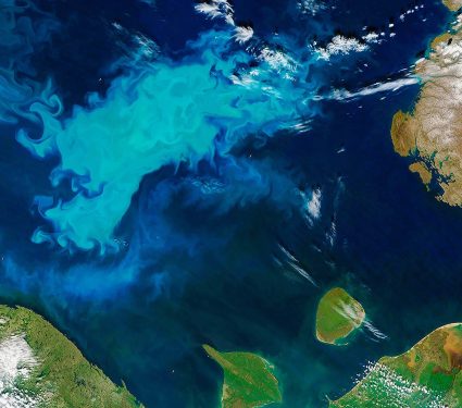 2024/06/arctic-ocean_algae-bloom_NASA_1m.jpg