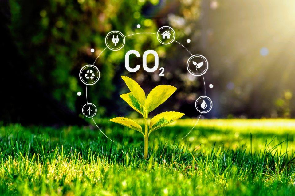 ‘Wonder material’ can extract value from captured carbon 
