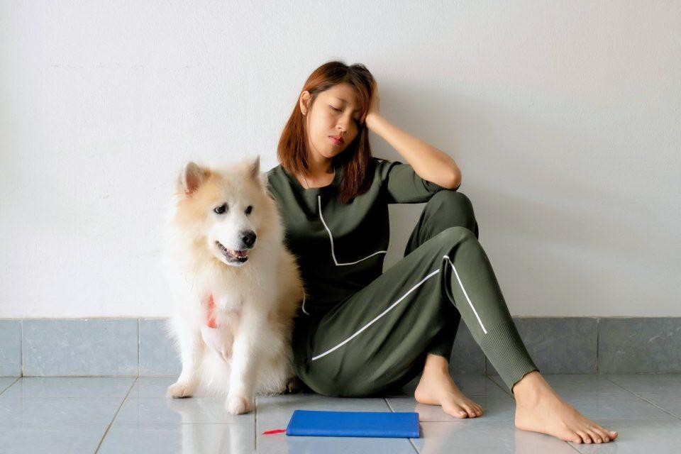Many people experience 'puppy blues' with a new pet