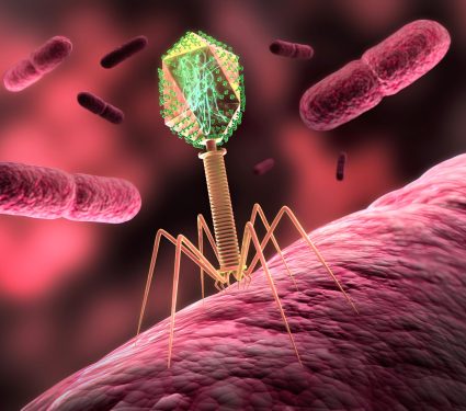 2024/07/Bacteriophages.jpg