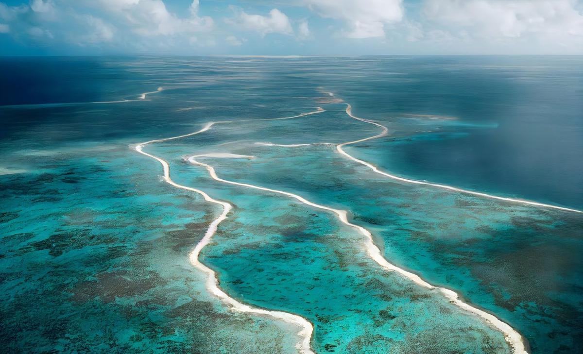 Climate patterns influence coral bleaching on the Great Barrier Reef