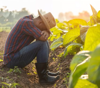 2024/07/Farmers-stress.jpg
