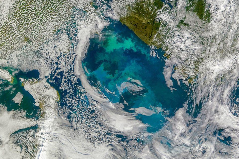 Tiny plankton play a big role in the global carbon cycle