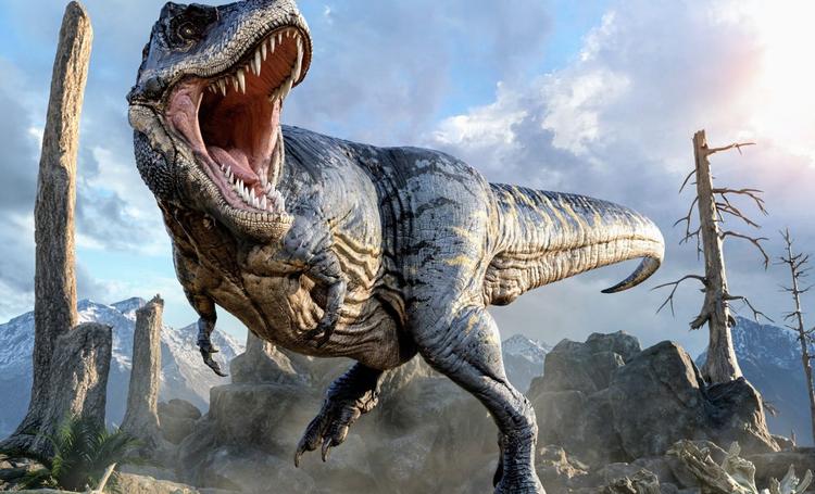 Dinosaur size: T. rex was much bigger than we thought - Earth.com