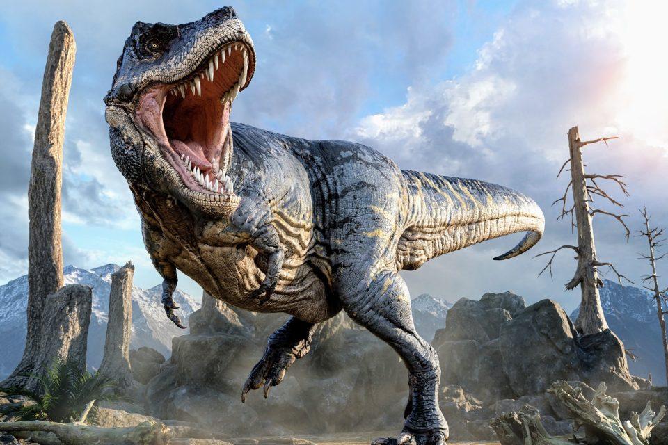 T. rex was about 70 percent bigger than we thought