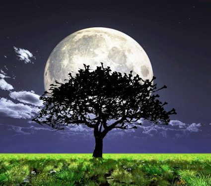 2024/08/Moon-biodiversity.jpg