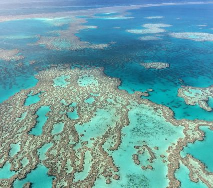 2024/08/Great-Barrier-Reef2.jpg