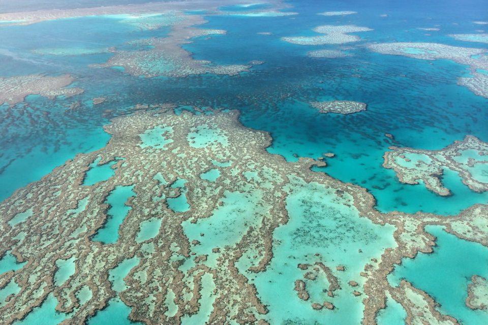 Great Barrier Reef is on the brink of extinction