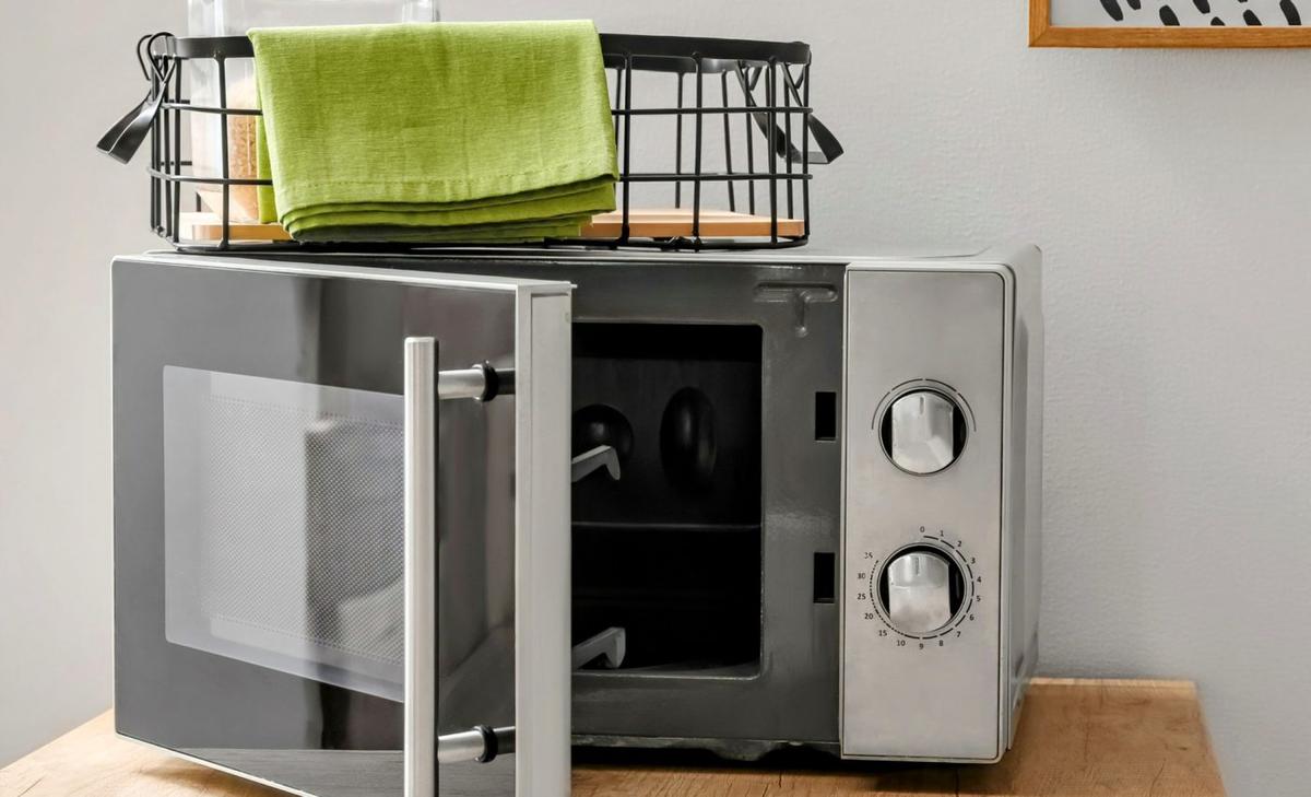 Microbes have become immune to radiation and live in microwaves