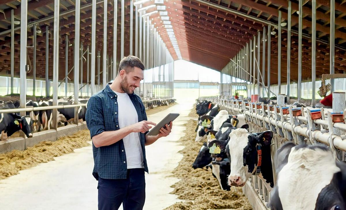AI paves the way for climate-conscious farming