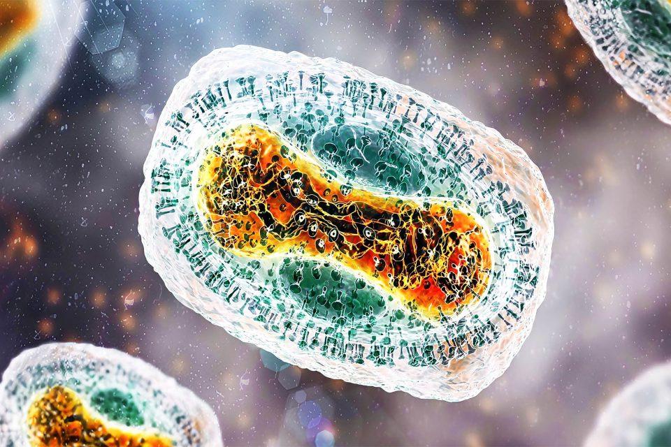 WHO Warning: Mpox cases are climbing rapidly with a much higher death rate