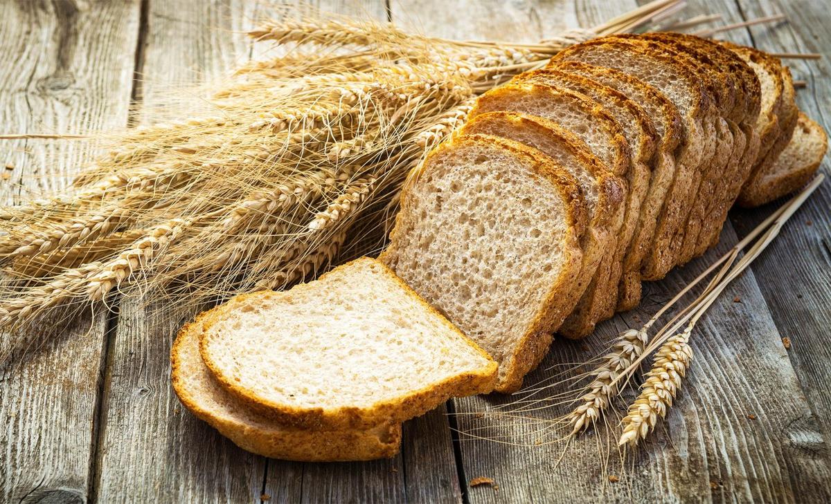 How bread and wheat gave rise to a civilization of 8 billion people
