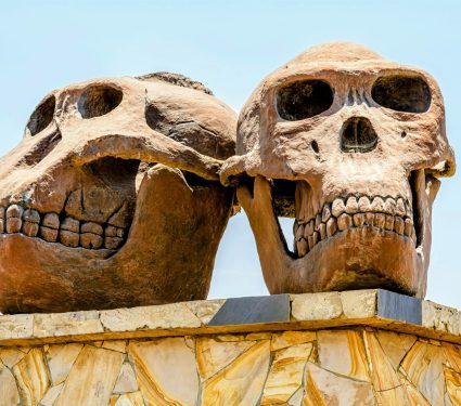 2024/08/Fossil-hotspots2.jpg