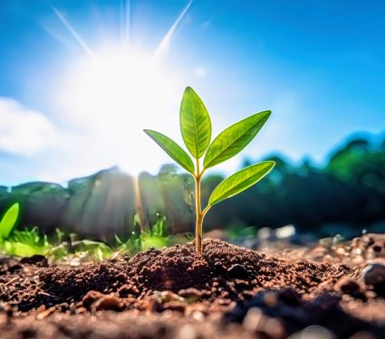 2024/08/Warming-soils.jpg