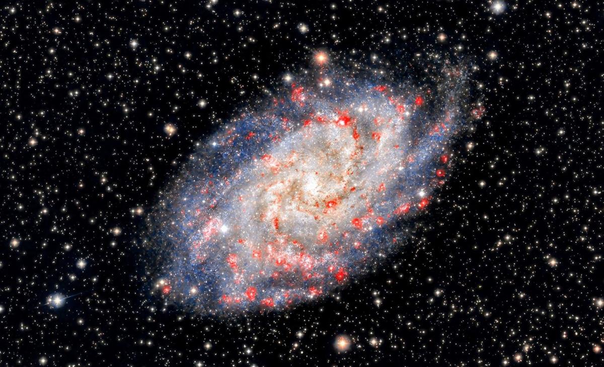 Messier 33: The unusual galaxy without a central black hole